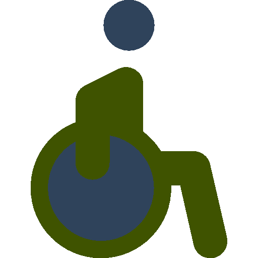 disability