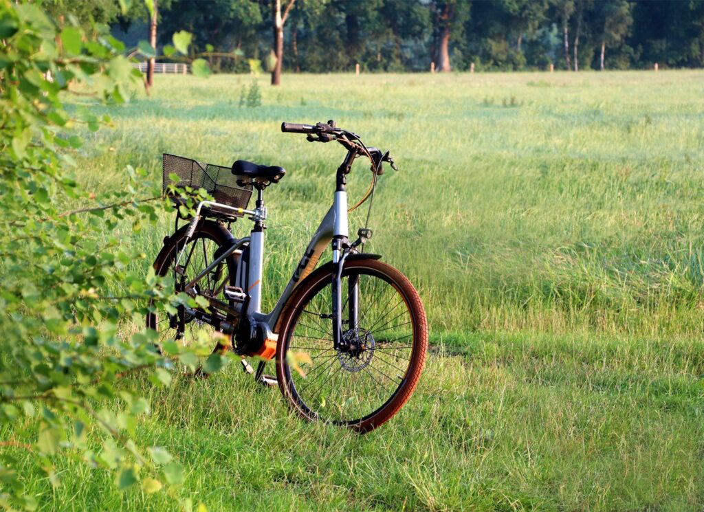e bike e bike