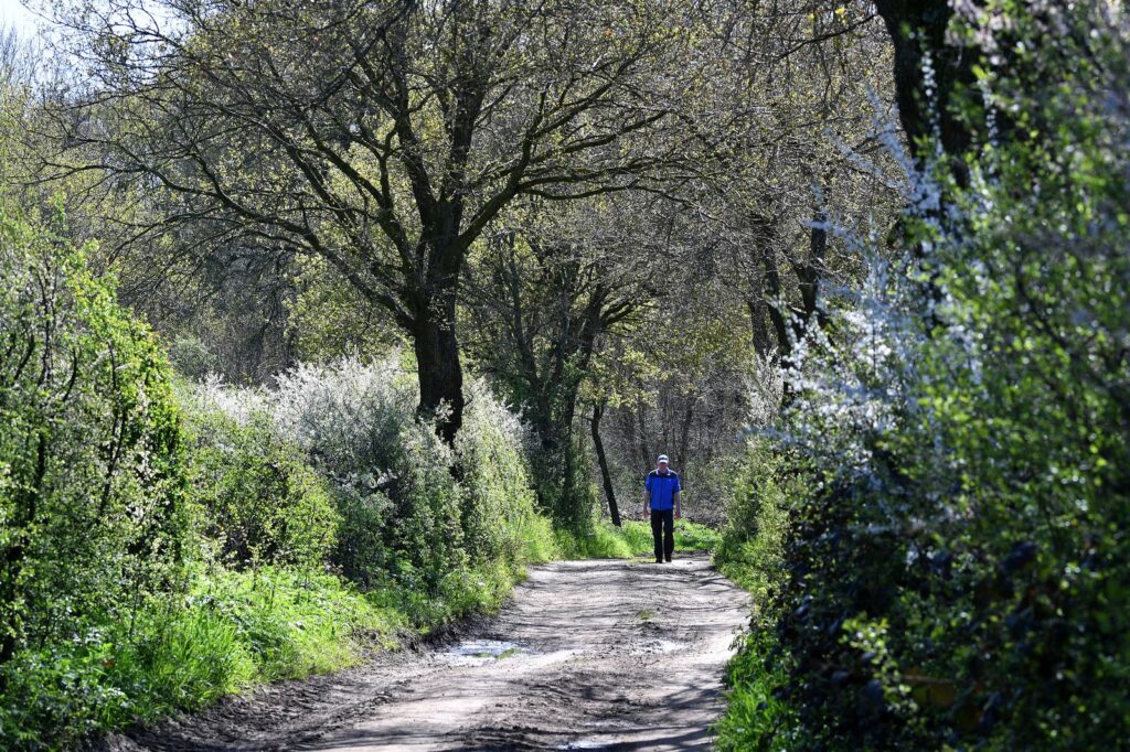 maasheggen wandelen