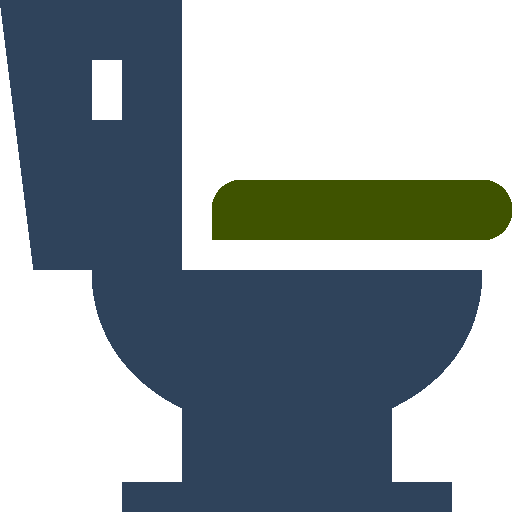 toilet